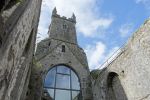 PICTURES/Ennis Friary & Quinn Friary/t_DSC04735.JPG